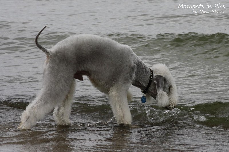 2010-06-26 Arc-en-ciel Arlequin (8).jpg